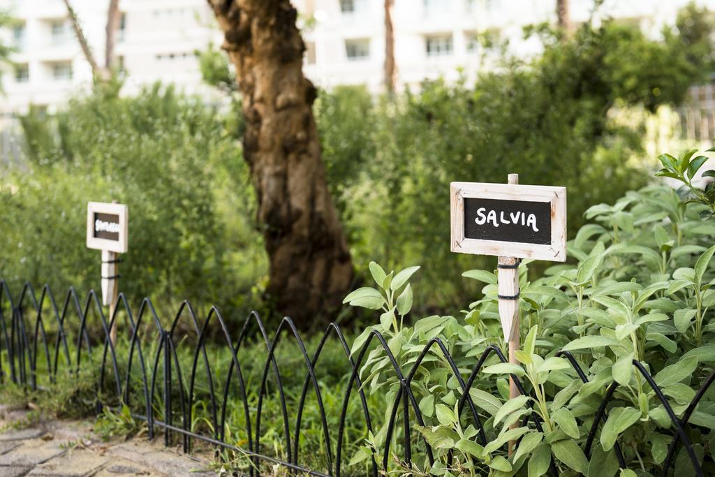 Occidental Aurelia Hotel Roma Ngoại thất bức ảnh